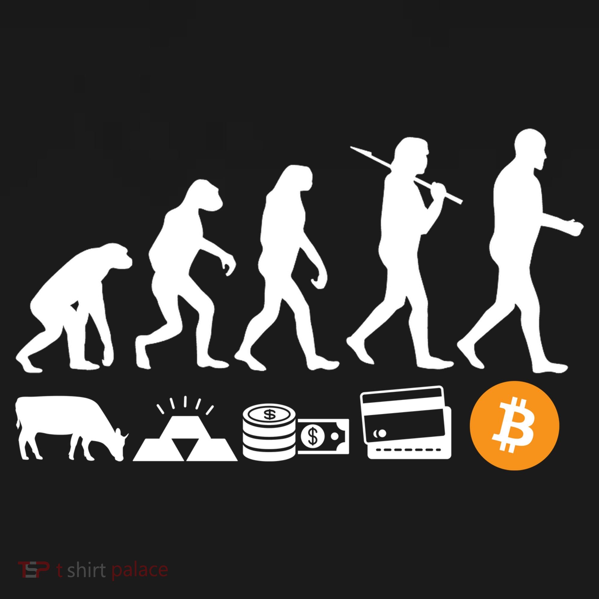 Bitcoin Evolution Women's Tank Top
