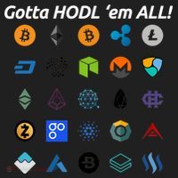 Bitcoin Litecoin Gotta Hodl Em All Cryptocurrency Logos Beanie thumb 2