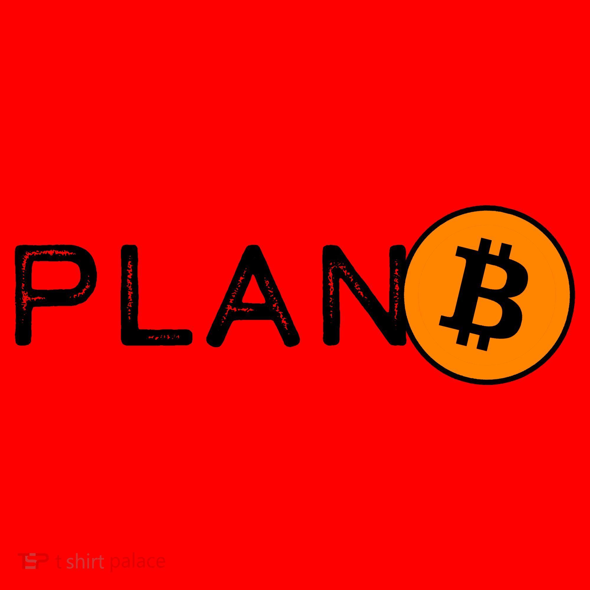 BitCoin PlanB Santa Hat