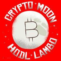 Bitcoin to the Moon Hodl Lambo Crypto Currency Santa Hat thumb 1