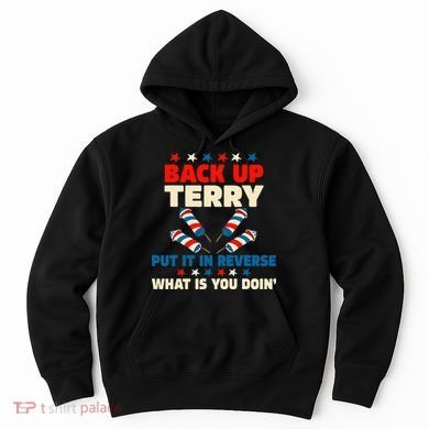 Back It Up Terry Put It In Reverse July 4th Fireworks Terry Hoodie