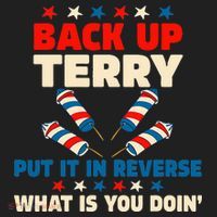 Back It Up Terry Put It In Reverse July 4th Fireworks Terry Beanie thumb 2