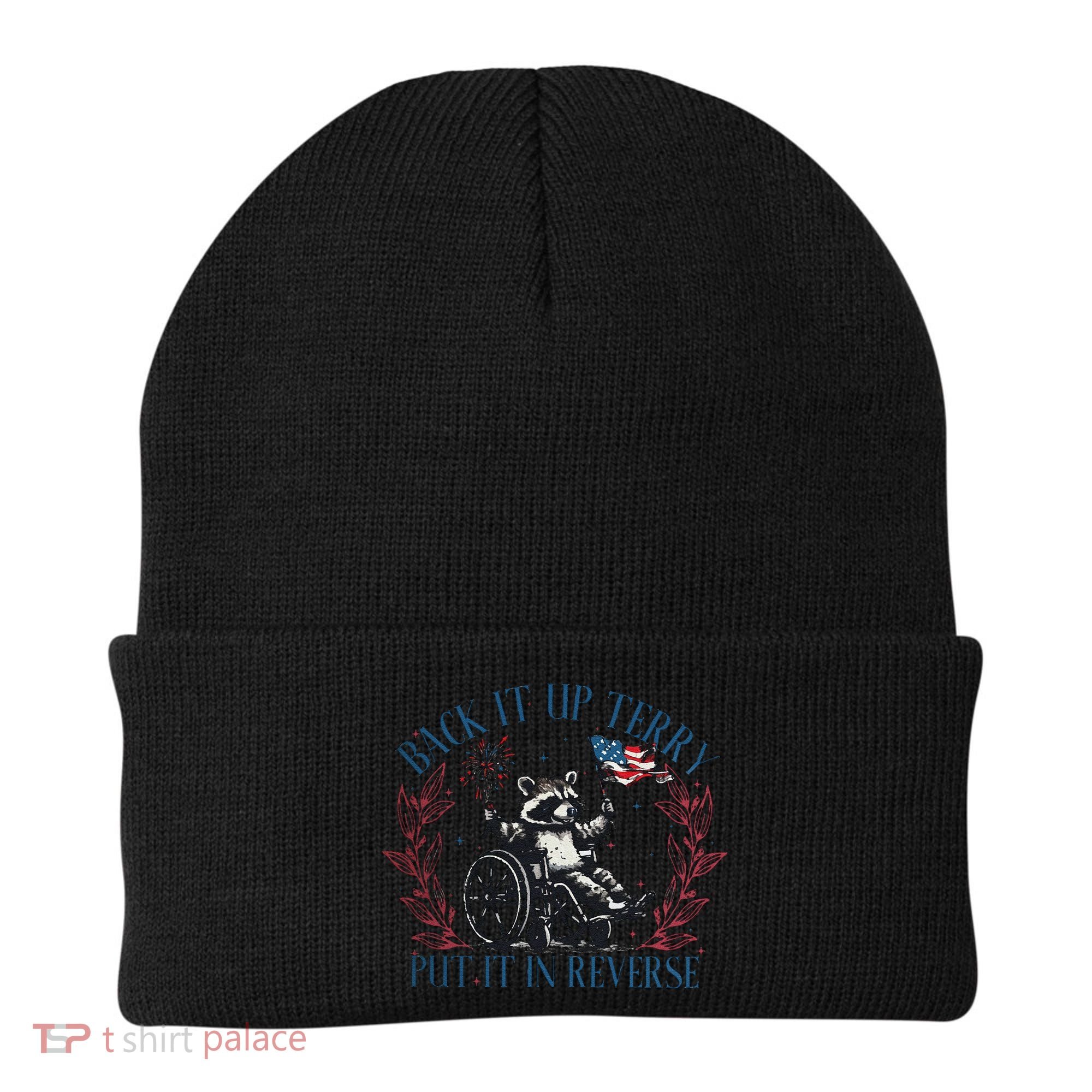 Back It Up Terry Retro 4th Of July Beanie