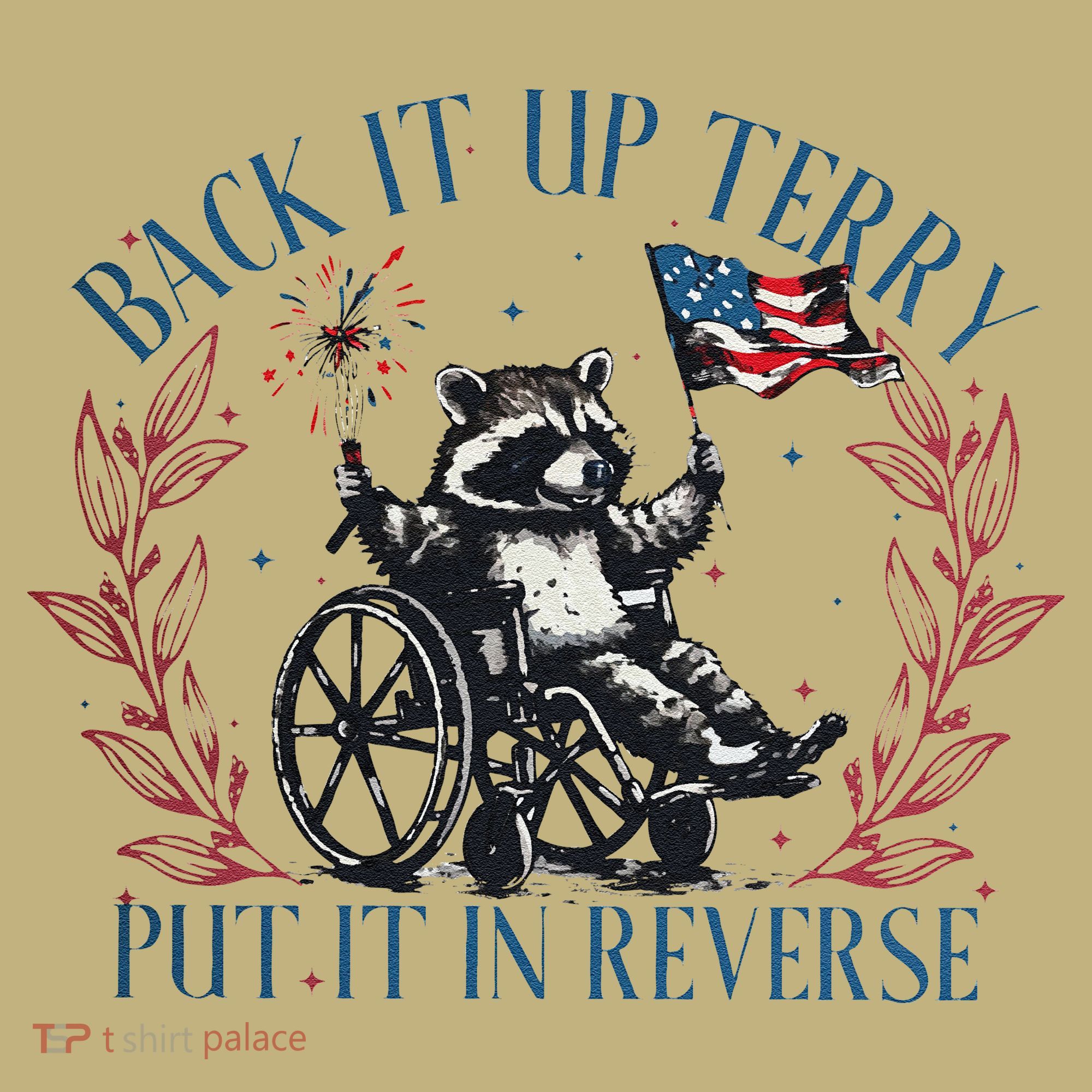 Back It Up Terry Retro 4th Of July Hoodie
