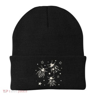 Beetle Illustration With Stars And Cosmic Beanie