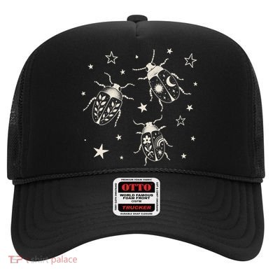 Beetle Illustration With Stars And Cosmic Hat