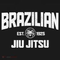 Brazilian Jiu Jitsu Established 1925 BJJ Gift MMA Fighter Women's Hoodie thumb 2