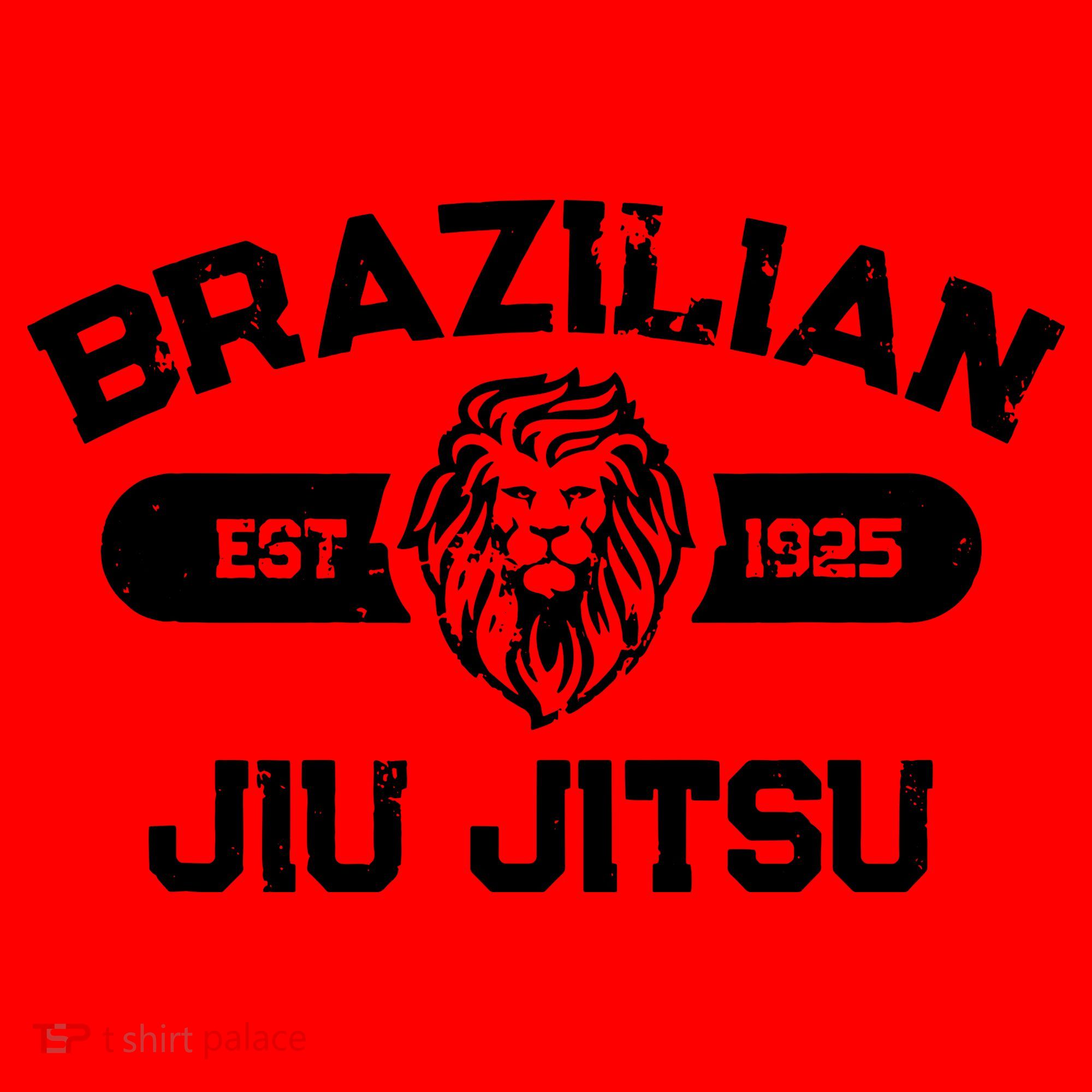 Brazilian Jiu Jitsu Established 1925 BJJ Gift MMA Fighter Santa Hat