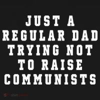 Just A Regular Dad Trying Not To Raise Communists USA-Made Doggie Bandana thumb 2