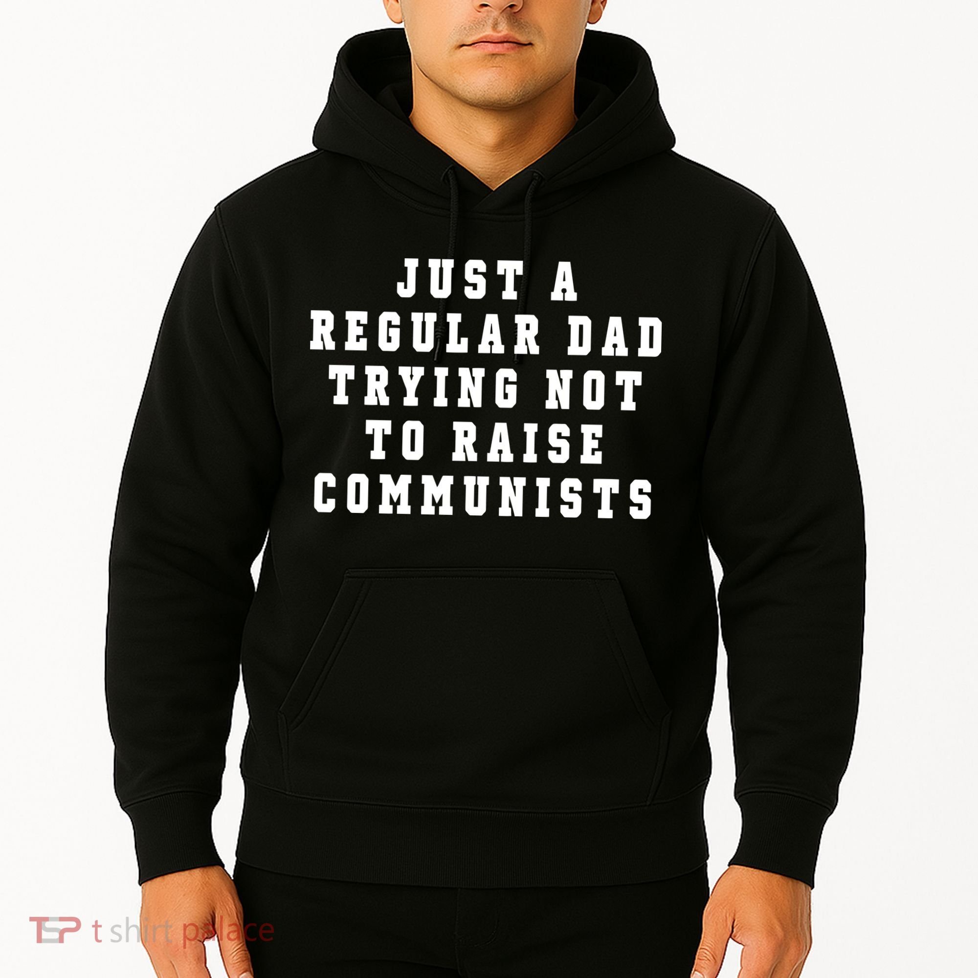Just A Regular Dad Trying Not To Raise Communists Hoodie