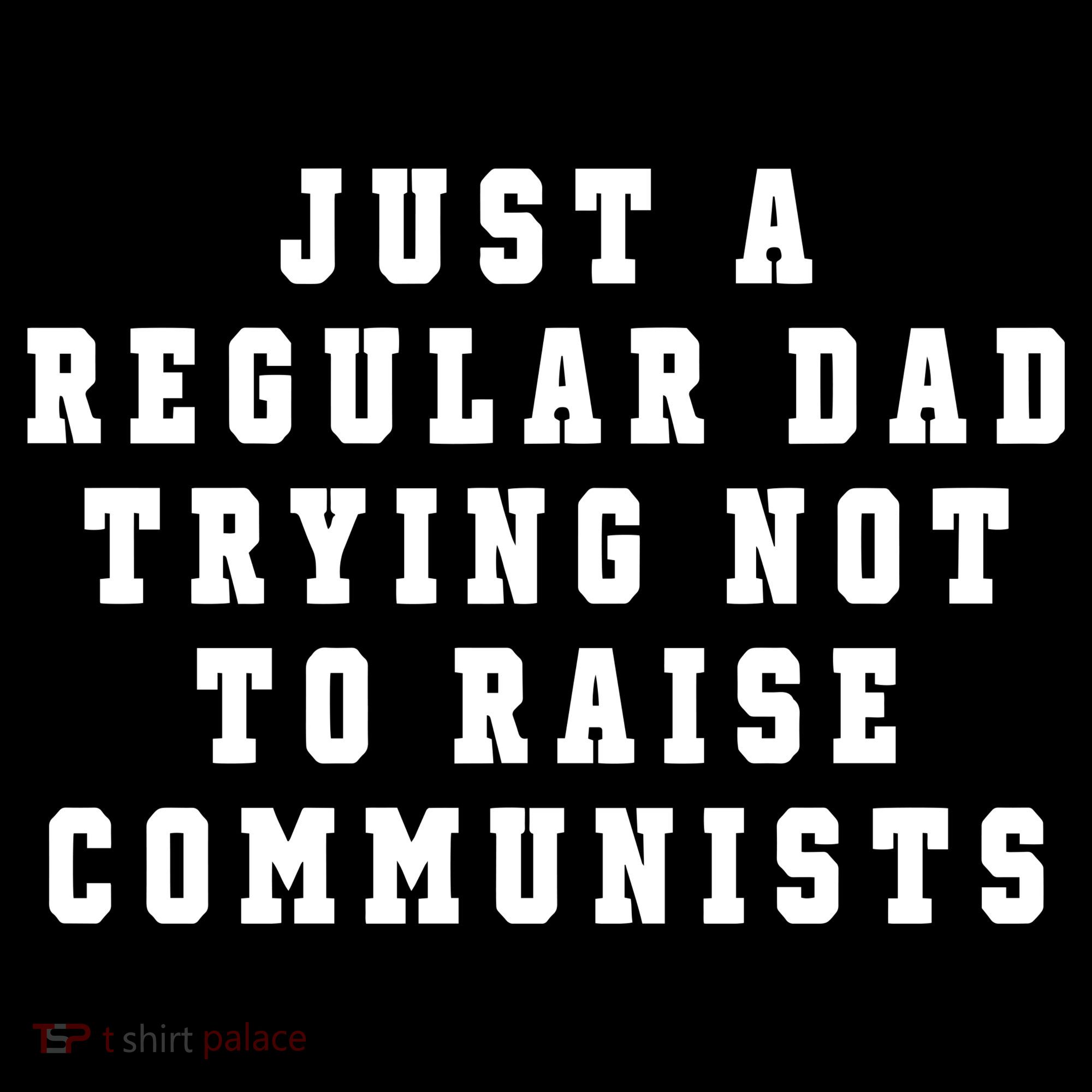 Just A Regular Dad Trying Not To Raise Communists Hoodie