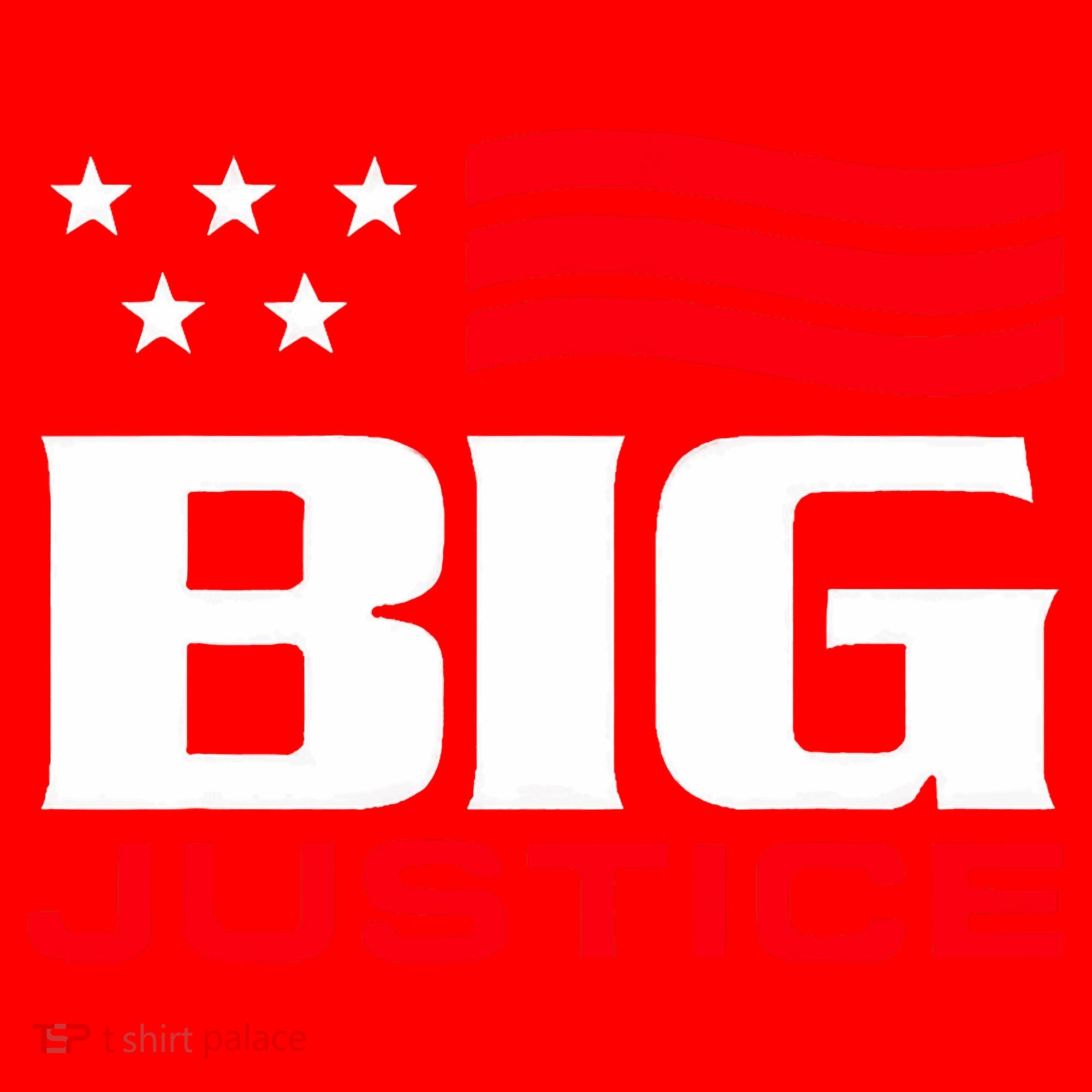 Big Justice Sarcastic Saying Flag Santa Hat
