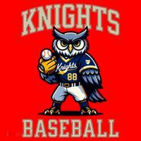 Blaine Knights 35+ Baseball Screech Owl #88 Santa Hat thumb 1