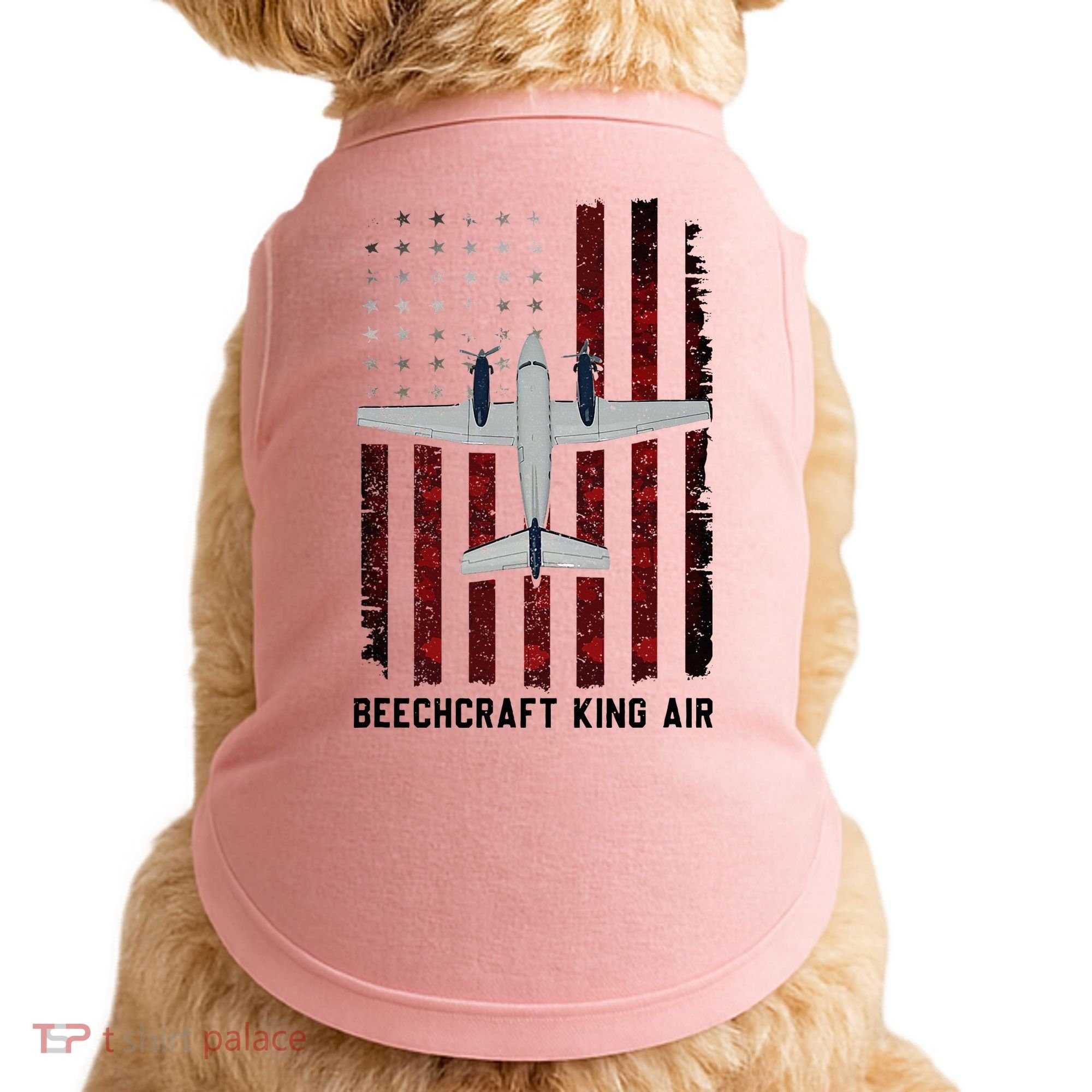 Beechcraft King Air Doggie Tank