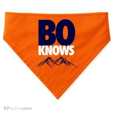 Bo Knows Denver Bo Knows Merch USA-Made Doggie Bandana