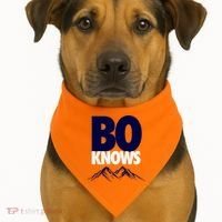 Bo Knows Denver Bo Knows Merch USA-Made Doggie Bandana thumb 1