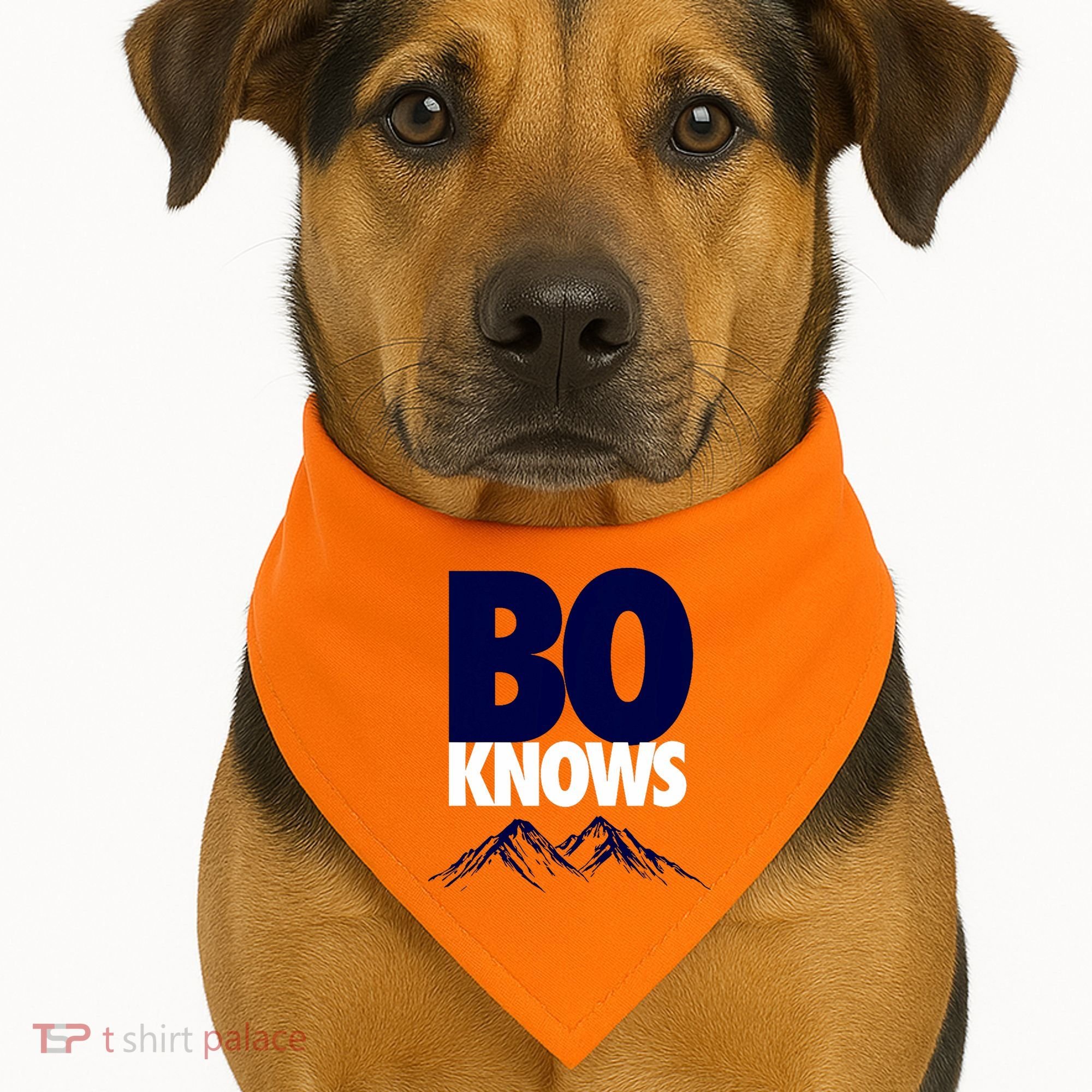 Bo Knows Denver Bo Knows Merch USA-Made Doggie Bandana