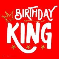 Birthday King Gold Crown Birthday Boy Funny Santa Hat thumb 1