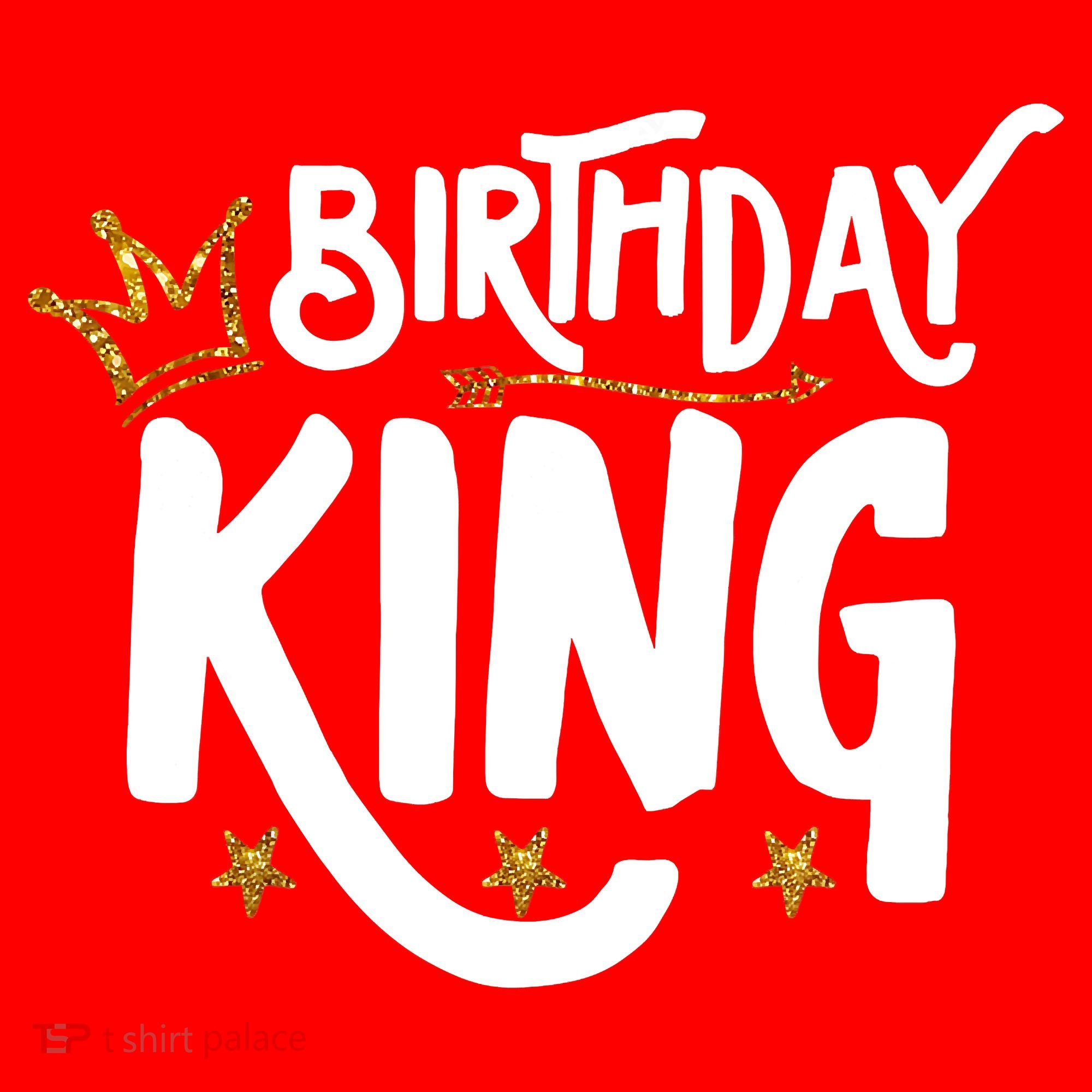 Birthday King Gold Crown Birthday Boy Funny Santa Hat