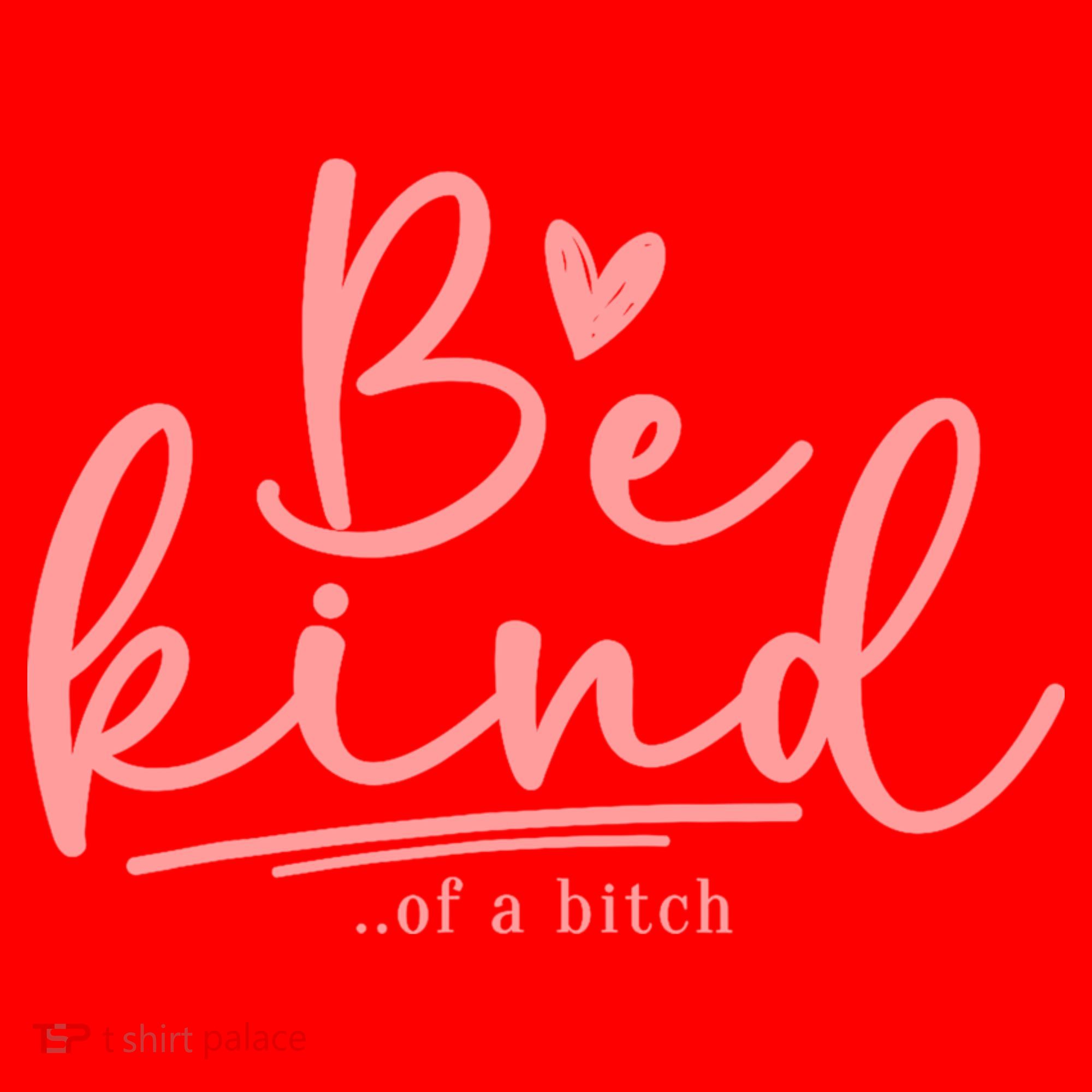 Be Kind Of A Bitch Funny Santa Hat