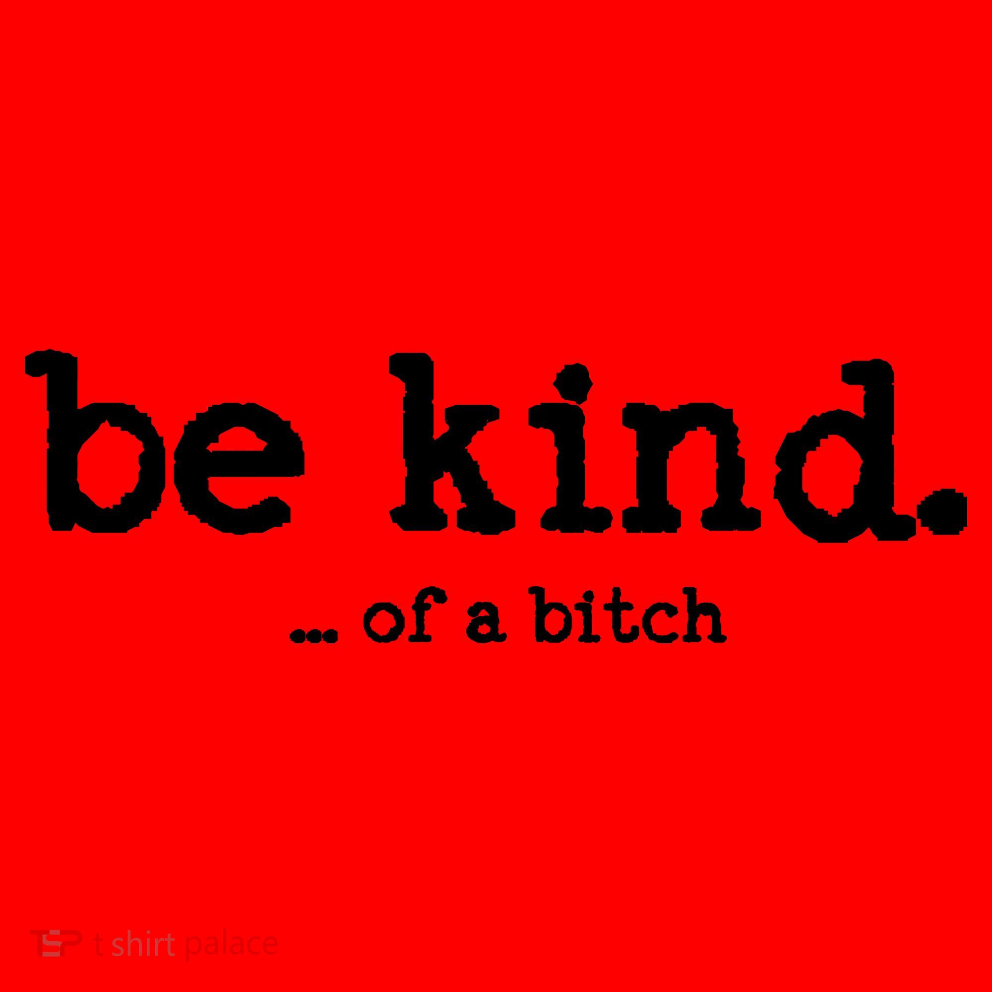 Be Kind ...Of A Bitch Retro Santa Hat