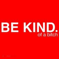 Be Kind Of A Bitch Apron thumb 3