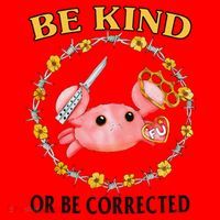 Be Kind Or Be Corrected Funny Crab Meme Santa Hat thumb 1