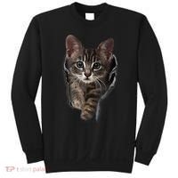 Brown Kitten Staring Cute TShirt Cats Gift Sweatshirt thumb 0