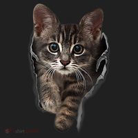 Brown Kitten Staring Cute TShirt Cats Gift Beanie thumb 2