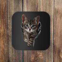 Brown Kitten Staring Cute TShirt Cats Gift Coaster thumb 0