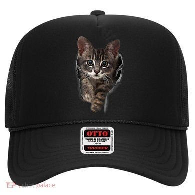 Brown Kitten Staring Cute TShirt Cats Gift Hat