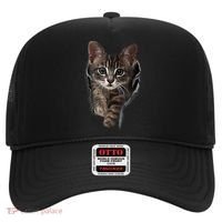 Brown Kitten Staring Cute TShirt Cats Gift Hat thumb 0