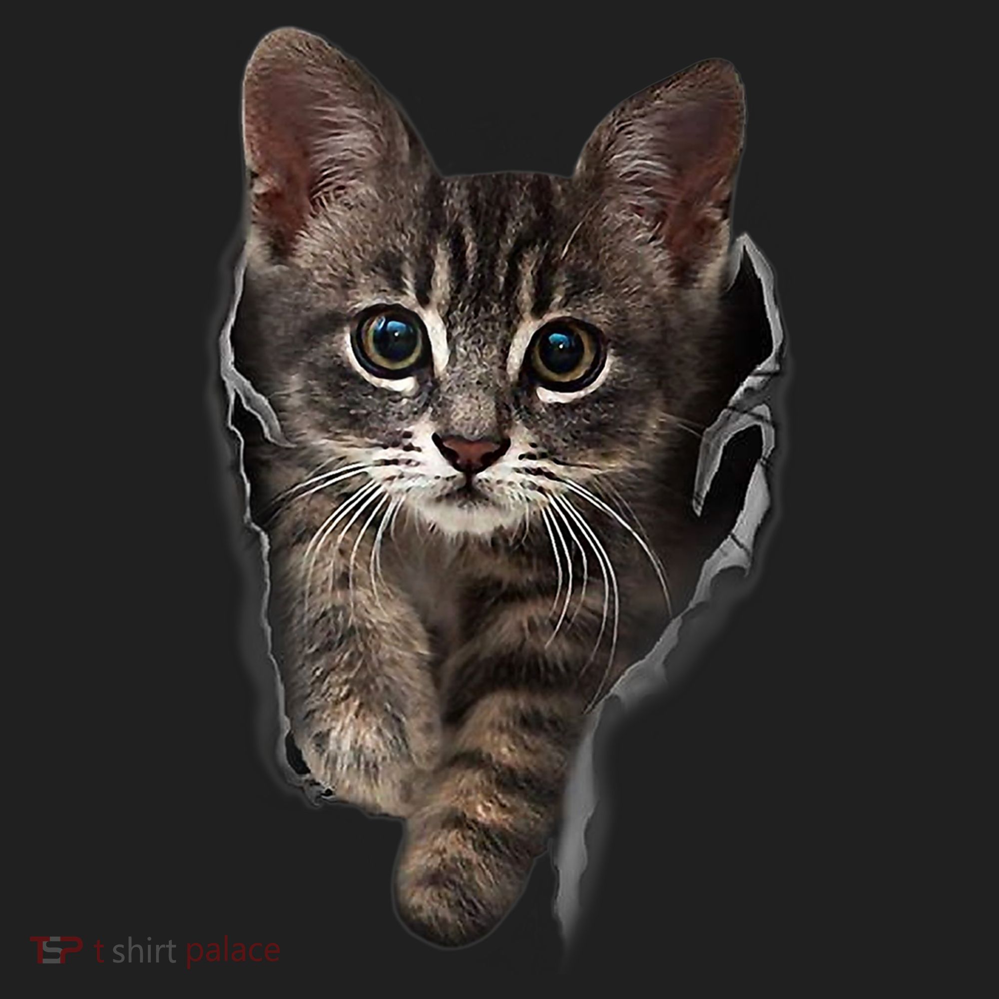 Brown Kitten Staring Cute TShirt Cats Gift Hat