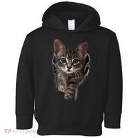 Brown Kitten Staring Cute TShirt Cats Gift Toddler Hoodie thumb 0