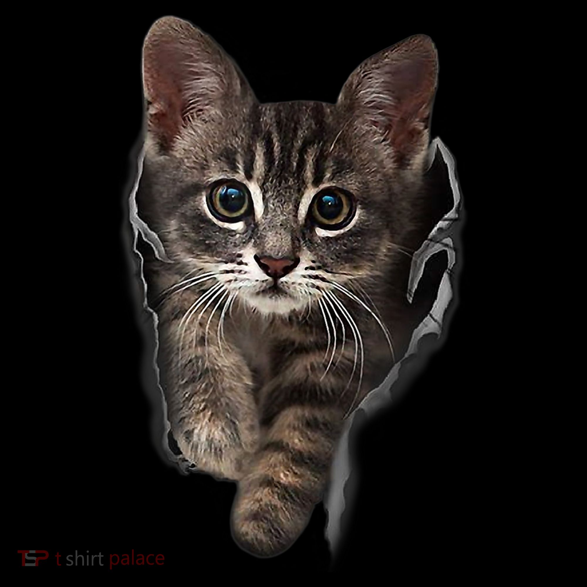 Brown Kitten Staring Cute TShirt Cats Gift Kids Sweatshirt