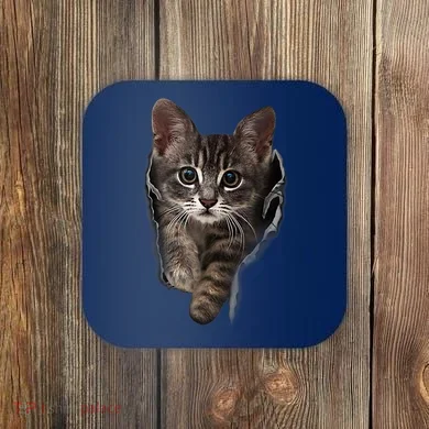 Coaster
