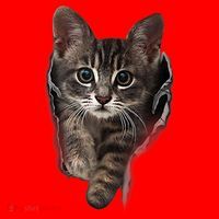 Brown Kitten Staring Cute TShirt Cats Gift Santa Hat thumb 1