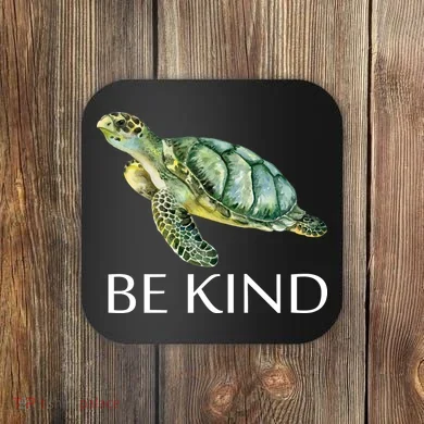 Be Kind Turtle Coaster