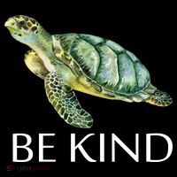 Be Kind Turtle Visor thumb 3