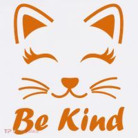 Be Kind Unity Day Orange Anti Bullying Kitten Women's Hoodie thumb 2