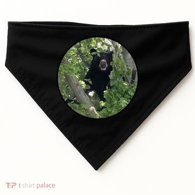 Black Bear Wilderness USA-Made Doggie Bandana