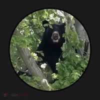 Black Bear Wilderness Tank Top thumb 6