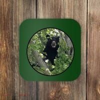 Black Bear Wilderness Coaster thumb 0
