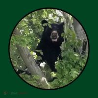 Black Bear Wilderness Kids Sweatshirt thumb 2