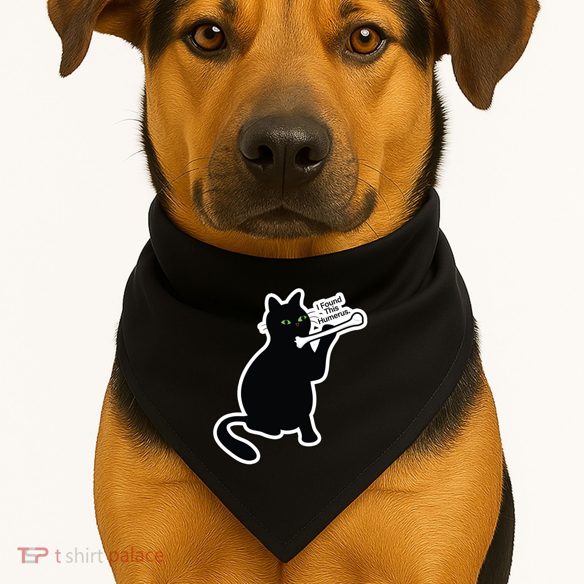 Black Cat I Found This Humerus Funny USA-Made Doggie Bandana