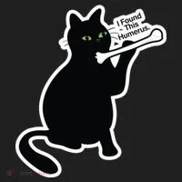 Black Cat I Found This Humerus Funny Beanie thumb 2