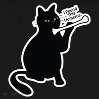 Black Cat I Found This Humerus Funny Visor thumb 3