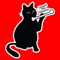 Black Cat I Found This Humerus Funny Santa Hat thumb 1