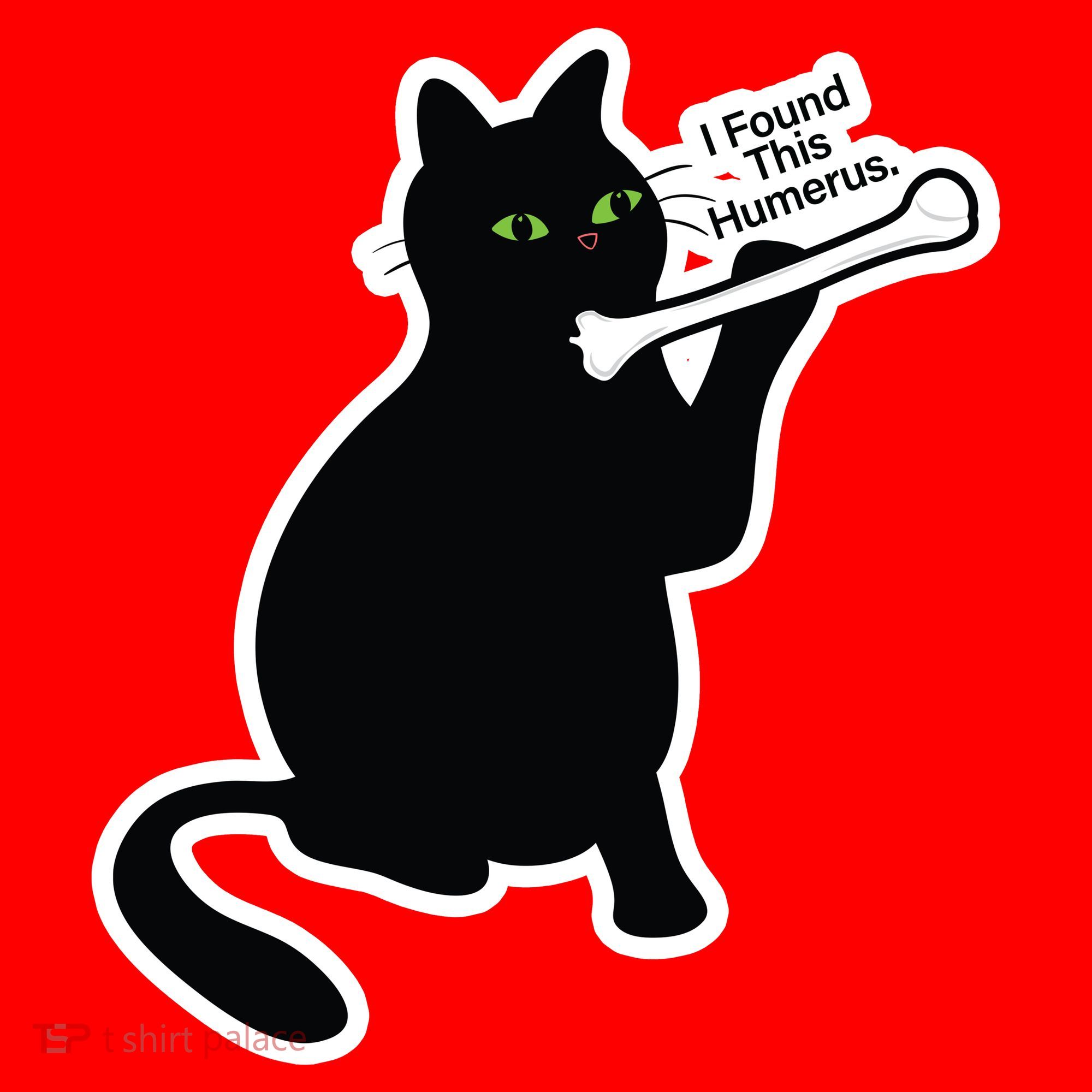 Black Cat I Found This Humerus Funny Santa Hat