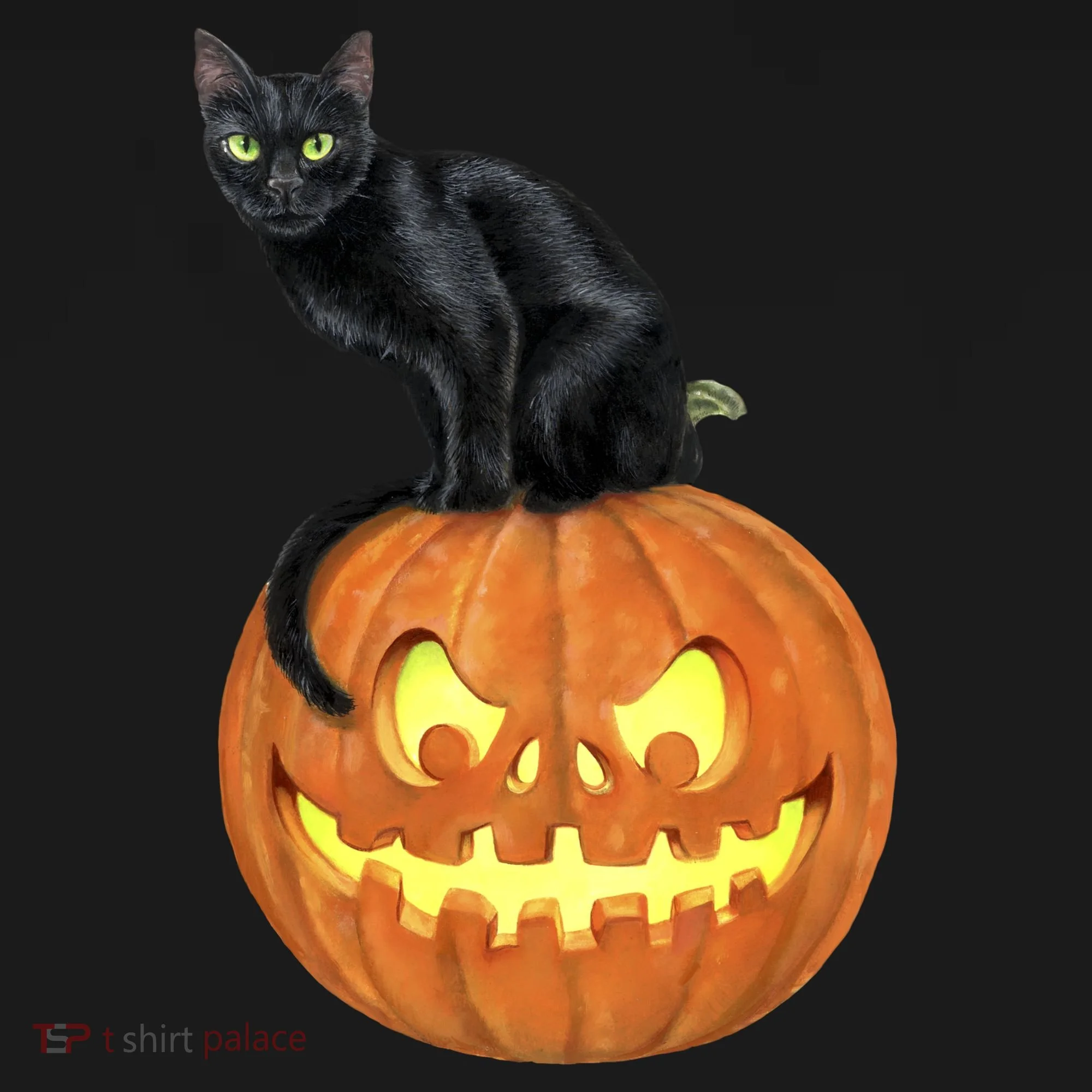 Black Cat Jack O' Lantern Pumpkin Coaster
